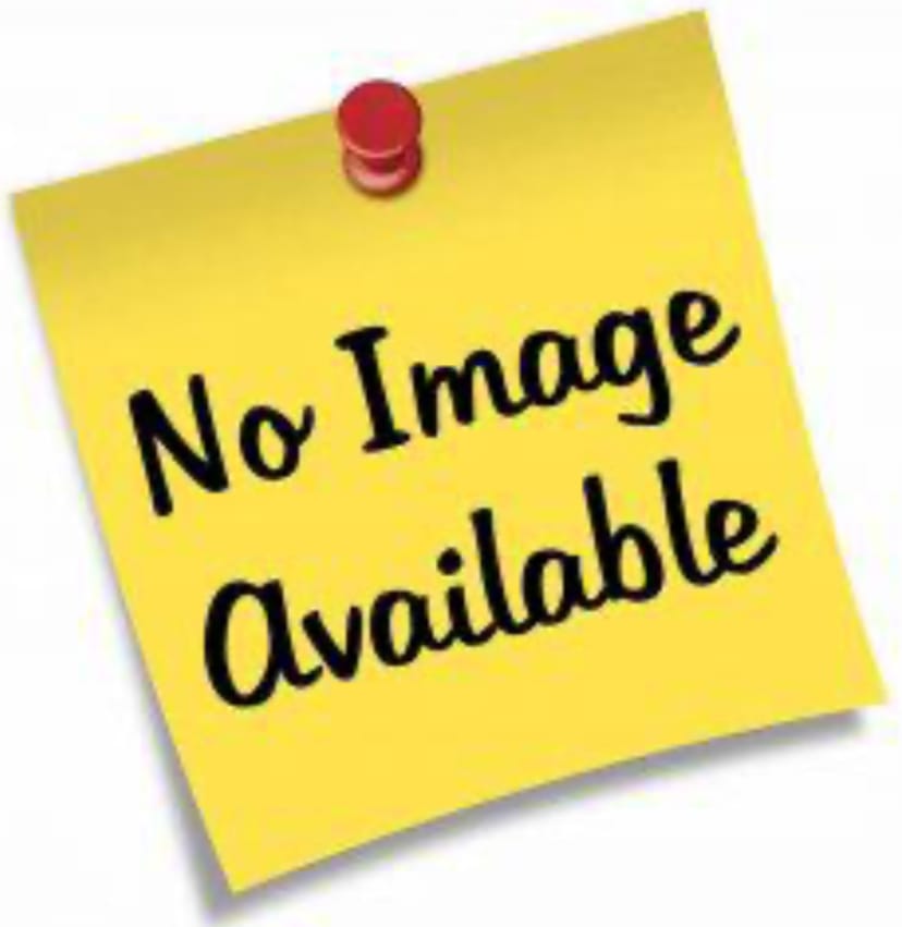 DEV BOOKKEEPING SERVICES INC.