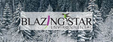 Blazing Star Environmental