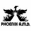 Phoenix AMD International Inc